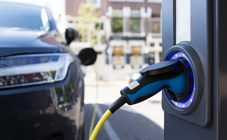 AdobeStock_154197359.jpeg image