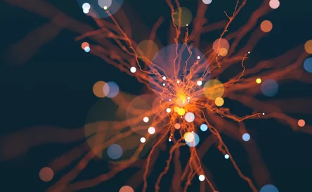 Spark 888421376-1280x1280.jpeg image