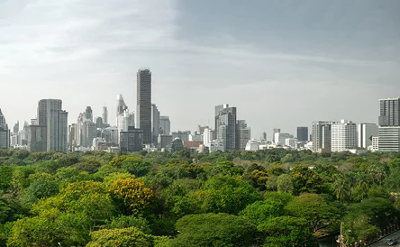 Environmental Health