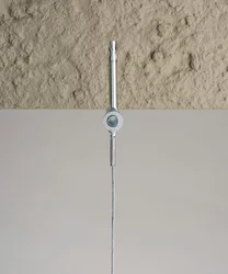 PH39506.png PH39506.eps image