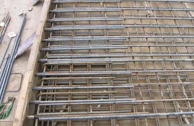 LENTON Form Saver in Application