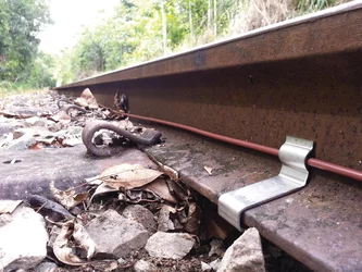 PH37247.png PH37247.jpg image