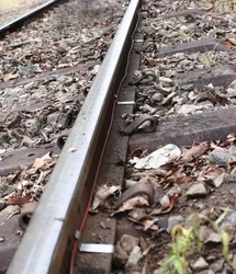 PH37248.png PH37248.jpg image