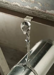 PH22411.png PH22411.jpg image