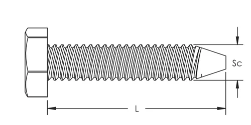 IL40383.png IL40383.jpg image