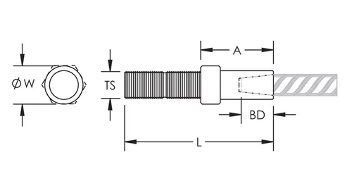 IL41850.png IL41850.jpg image