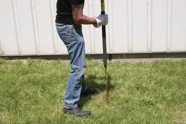 PH36817.png PH36817.jpg image