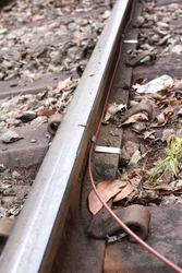 PH37249.png PH37249.jpg image