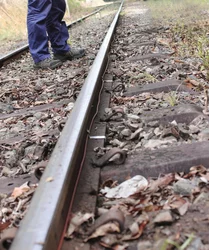 PH37250.png PH37250.jpg image