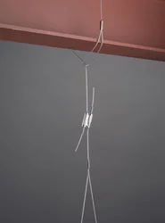 PH38465.png PH38465.jpg image