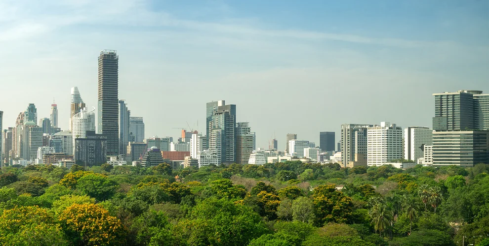 Sustainability and Electrification