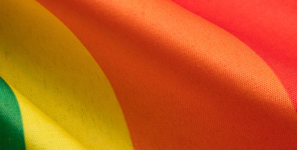 Allies@nVent ERG Pride Month Activities