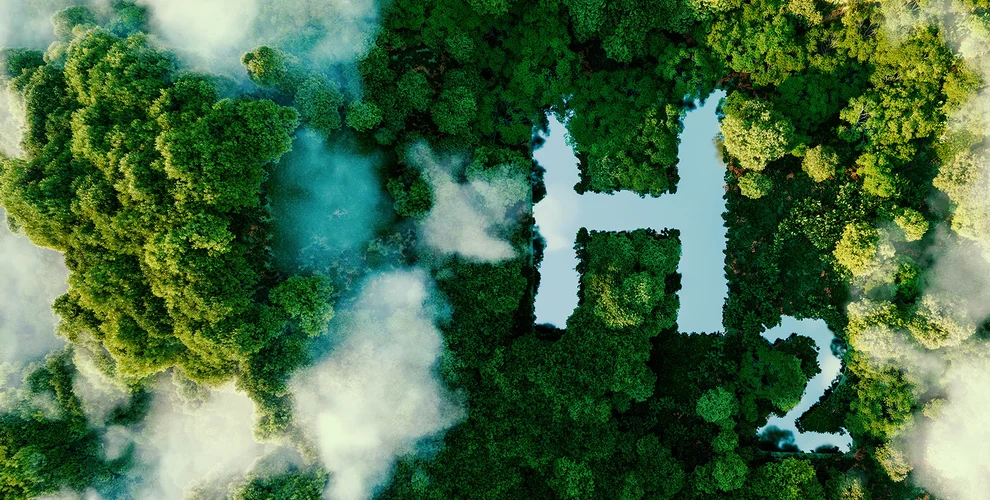 Green Forest