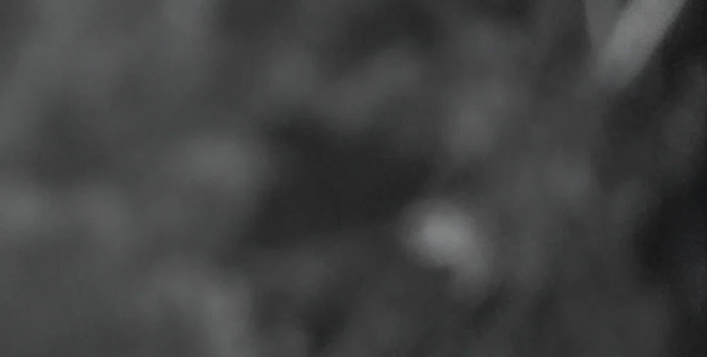 Minnesota Lynx Changemakers 