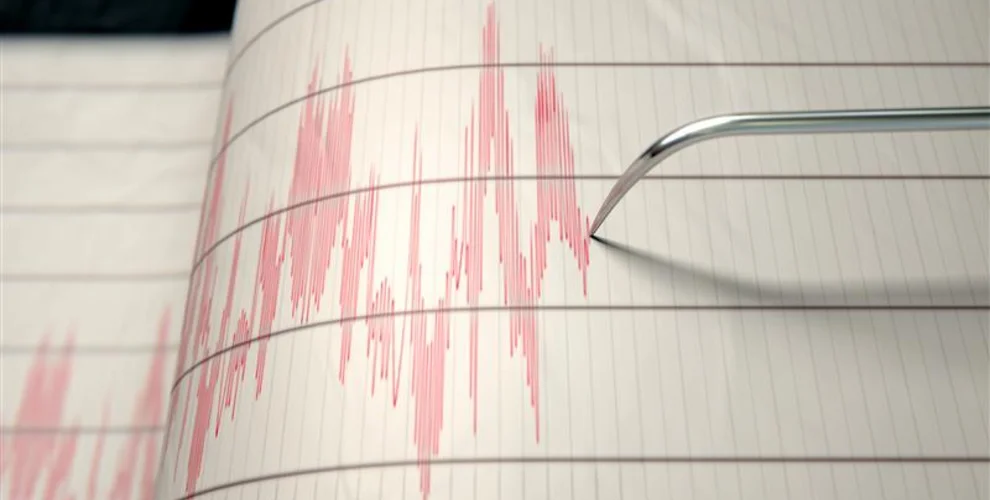 Prioritizing Seismic Protection for Systems and Projects