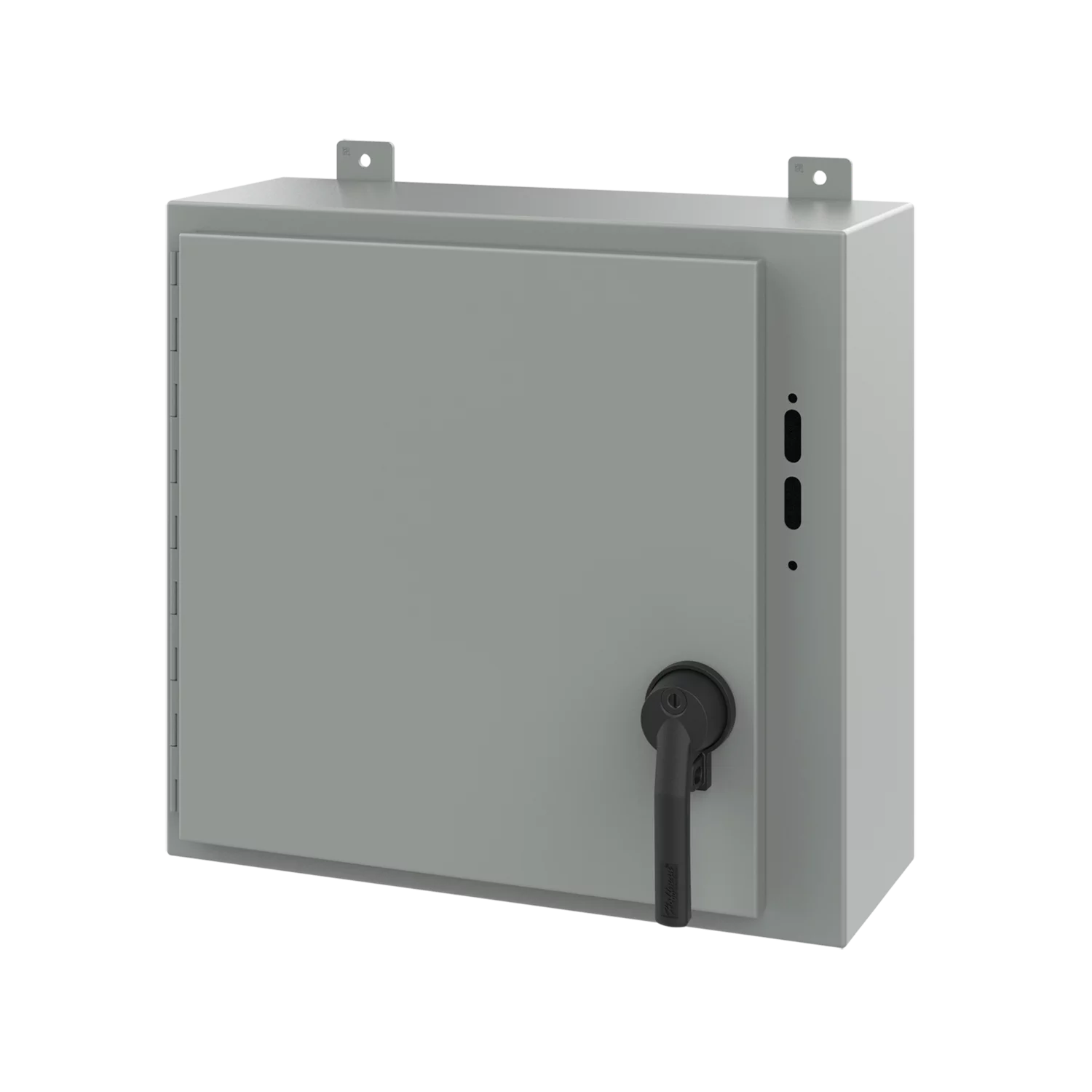 A20Sa2208Lppl Disconnect Enclosure With Handle Type 12