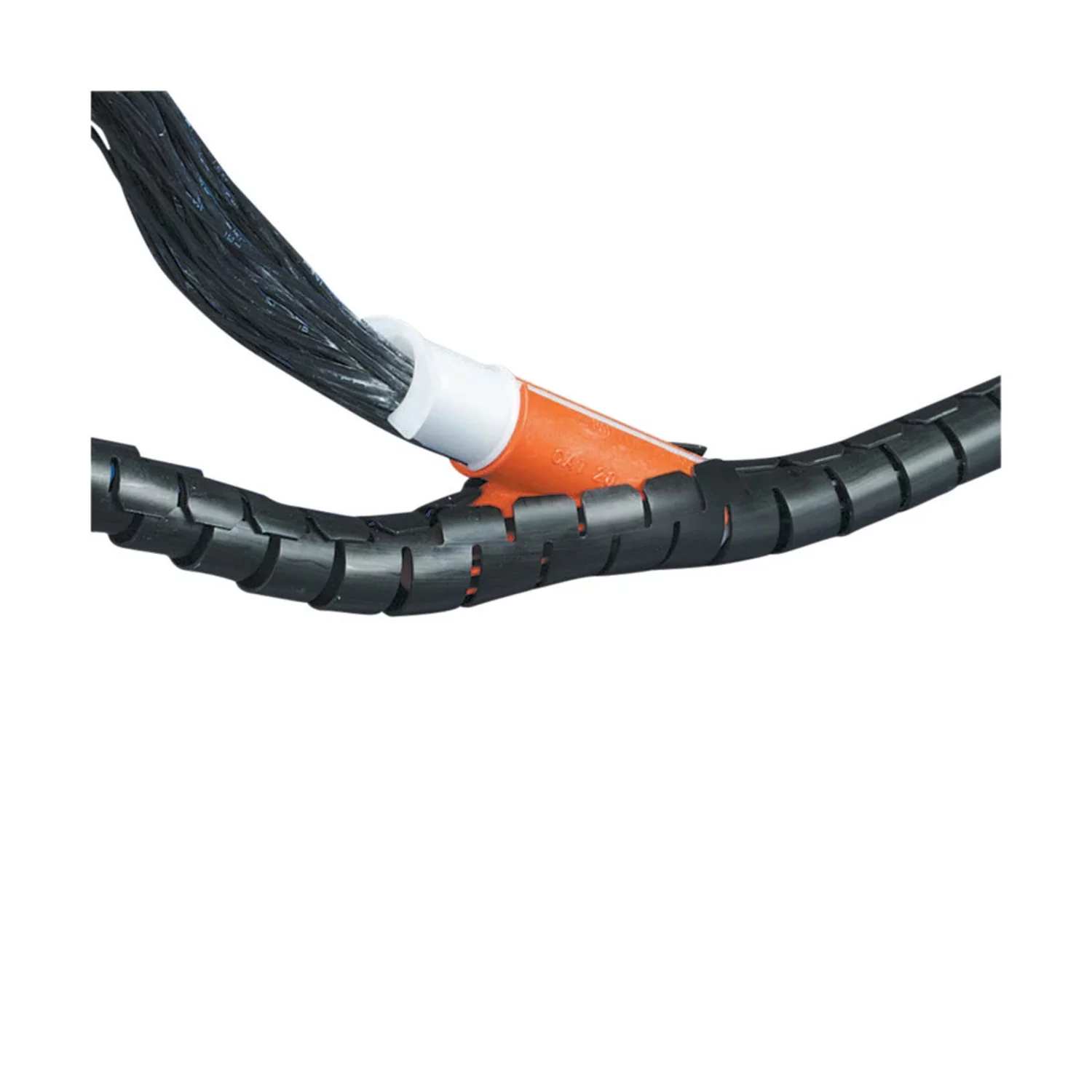 PH35593.png PH35593.jpg image